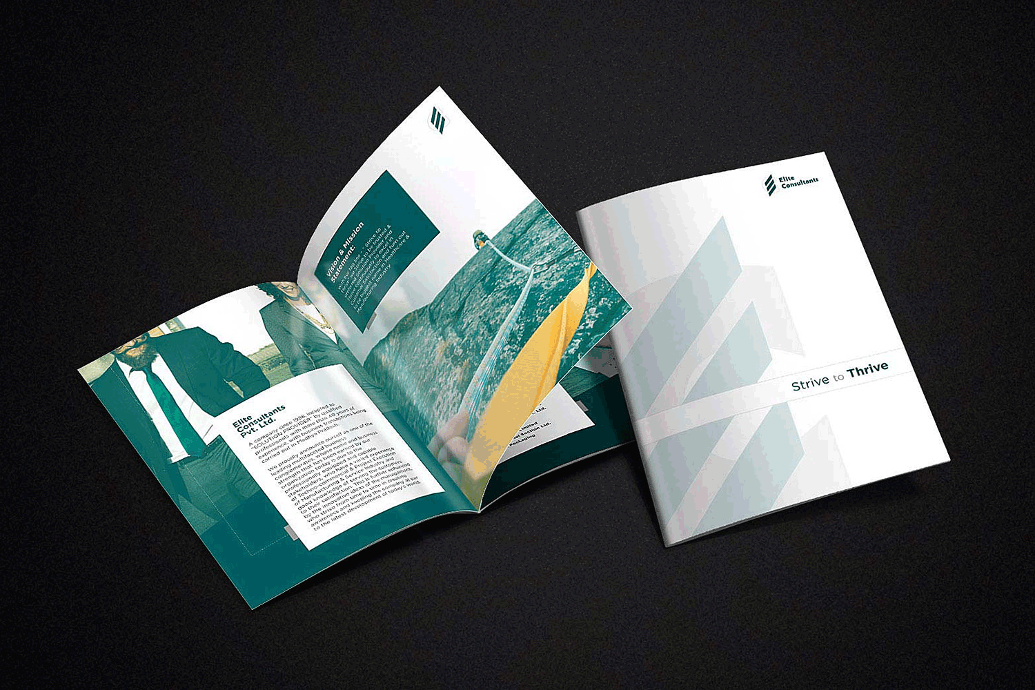 Elite Consultants - Company Profile Brochure