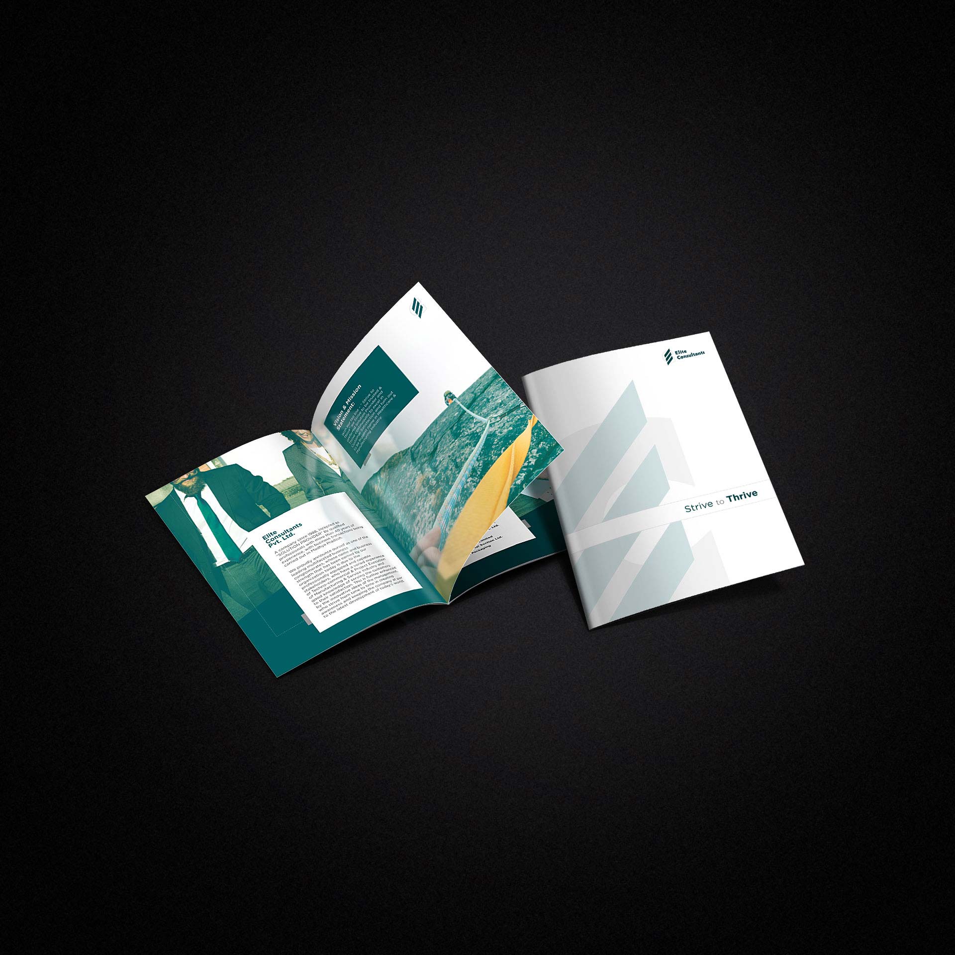 Elite Consultants – Brochure Design