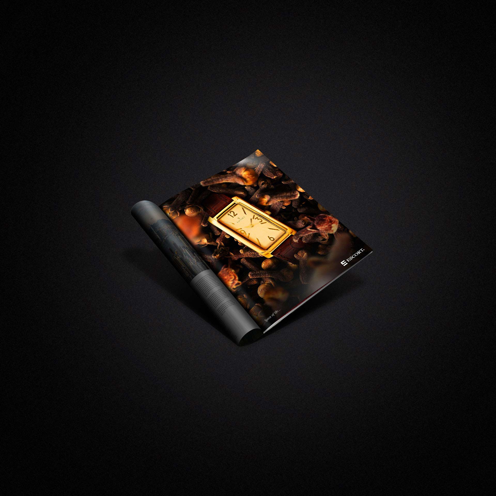 Escort Watches – Spices – Magazine Campaign Ad4
